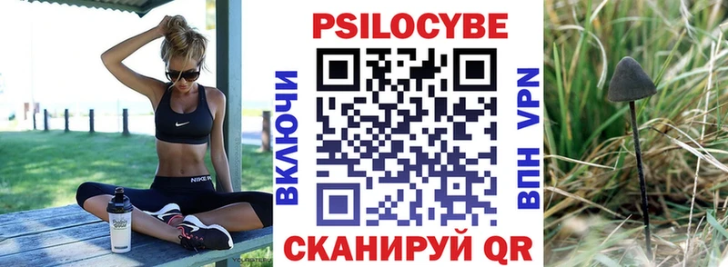 продажа наркотиков  Новосибирск  Галлюциногенные грибы прущие грибы 
